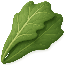 Illustration of a green leaf on a white background