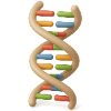 Colorful DNA double helix model on a white background