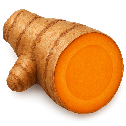 Turmeric root on a white background